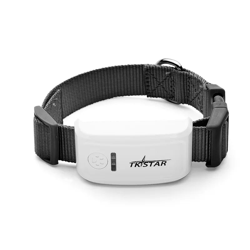 Dog Collar With Remote Control - Vibration And Shock Mode Rechargeable