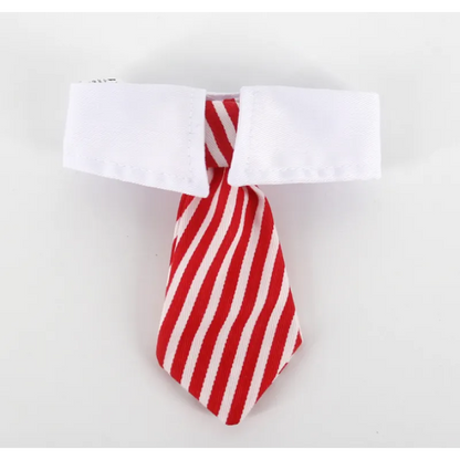 Elegant Pet Collar With Tie For Dogs And Cats