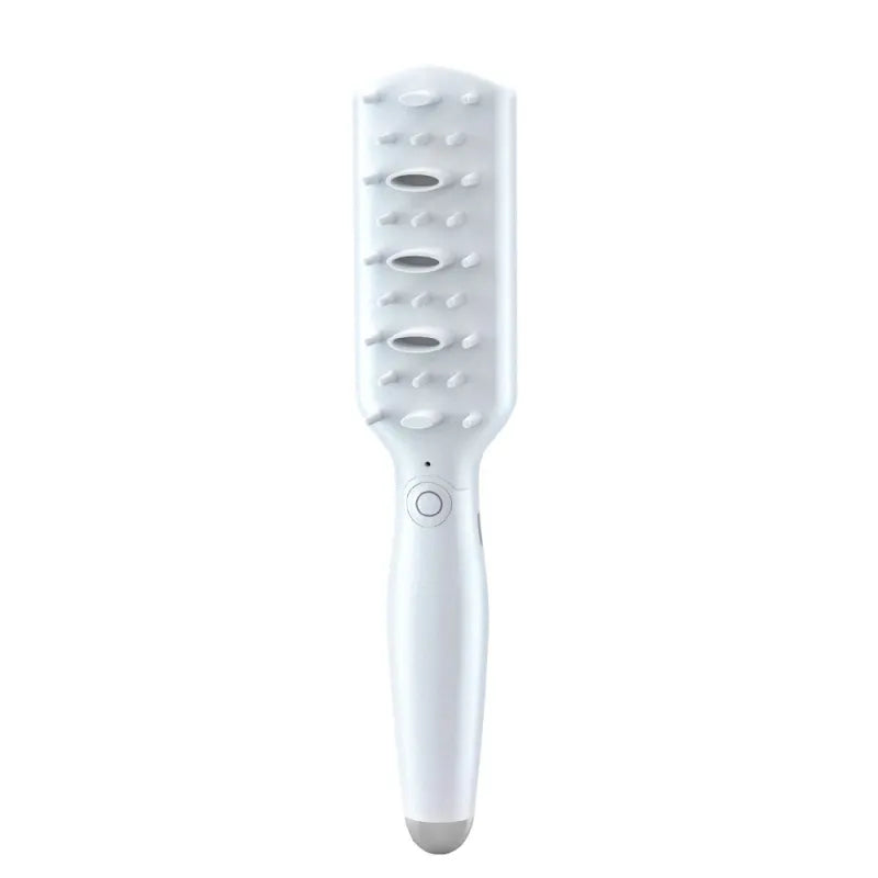 Electric Massage Brush for Pets with Usb Charging and Grooming Function