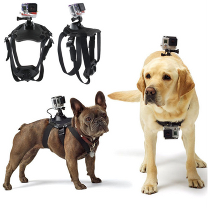 Action- Camera Harness For Dogs With Holder For Chest And Back