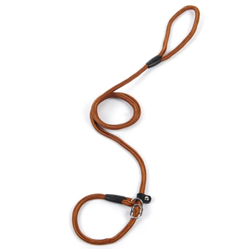 Dog Leash Made Of Durable Rope With Snap Hook For Safe Walking