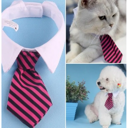 Elegant Pet Collar With Tie For Dogs And Cats