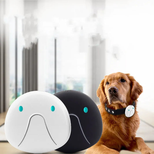 Dog Collar With Gps Tracker - Easy To Attach And Reliable