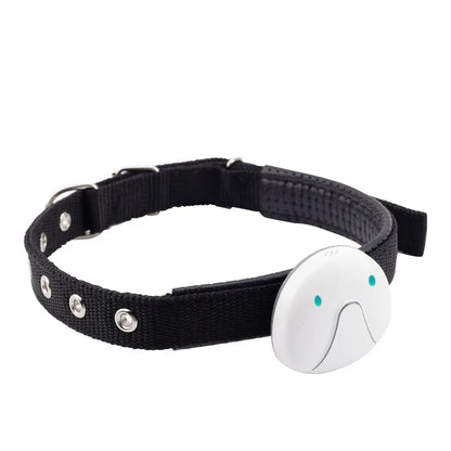 Dog Collar With Gps Tracker - Easy To Attach And Reliable