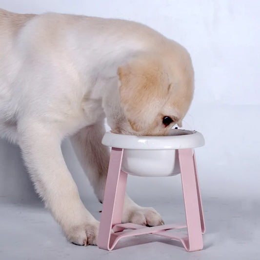 Dog Bowl With Raised Stand - Stylish Food Bowl With Metal Frame