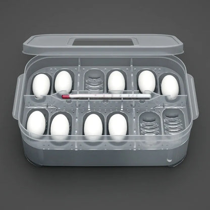 Practical Storage Box For Eggs And Small Items - With Thermometer And Dividers