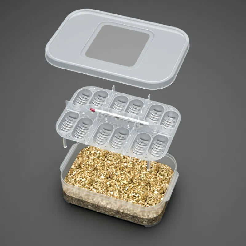 Practical Storage Box For Eggs And Small Items - With Thermometer And Dividers