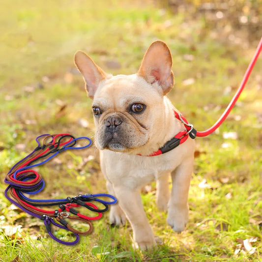 Dog Leash Made Of Durable Rope With Snap Hook For Safe Walking