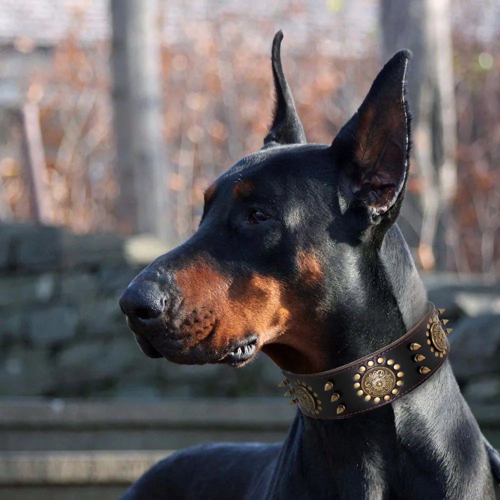 Leather Dog Collar With Rivets And Metal Decorations For Large Dogs
