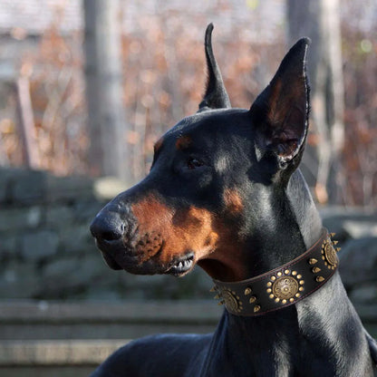 Leather Dog Collar With Rivets And Metal Decorations For Large Dogs