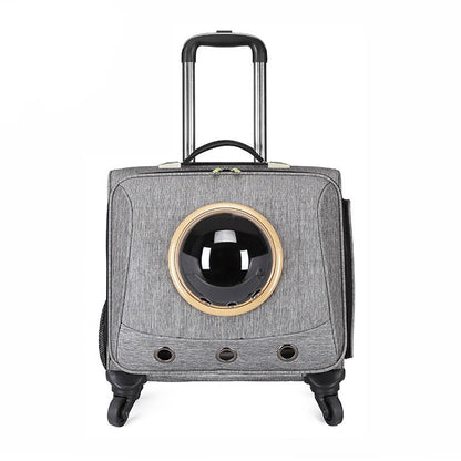 PfotenPilot Travel Capsule