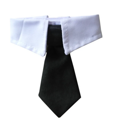 Elegant Pet Collar With Tie For Dogs And Cats