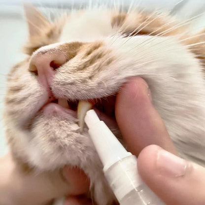 Dental Care Pen For Pets