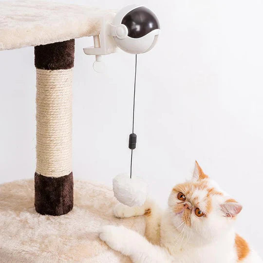 Automatic Cat Toy