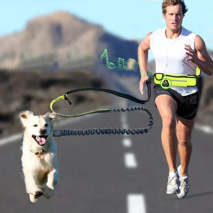 Free - Handed Running Lead With Hip Belt For Dogs