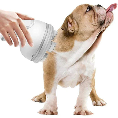 Electric Massager For Pets