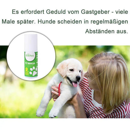 Instructions For The Targeted Placement Of The Pet Toilet