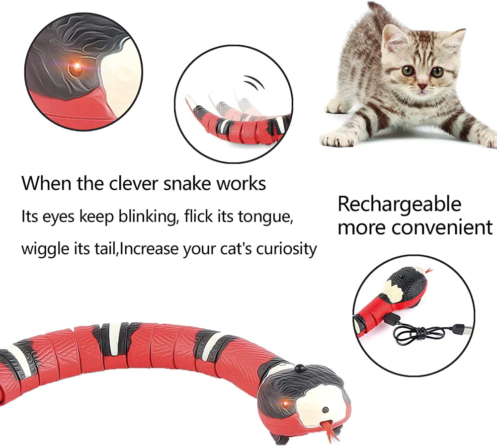 Snakey - Smart Snake Toy