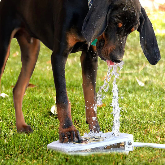 Interactive Dog Toy with Water Fountain