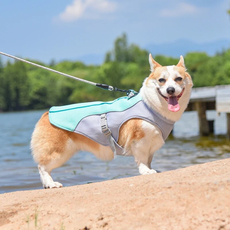 2in1 Cooling Dog Vest/Harness