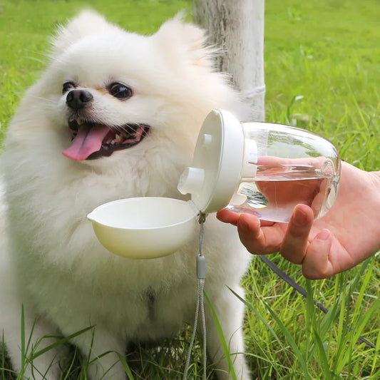 Drinking Bottle For Dogs - Portable Water Bottle With Spout Mechanism