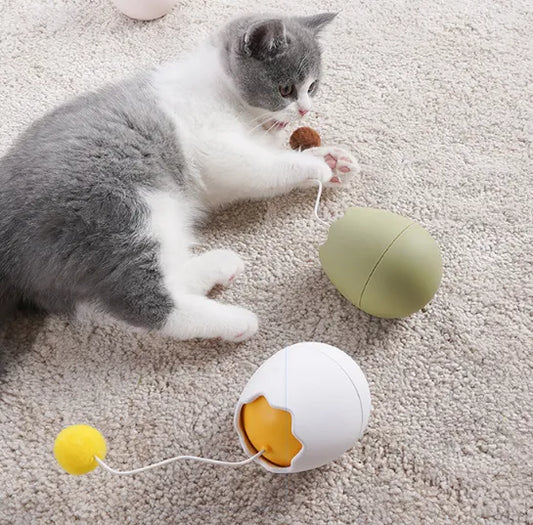 Interactive Cat Toy In Egg Shape - Toy With Moving Ball For Cats