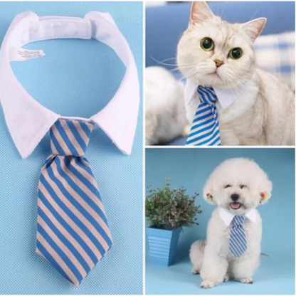 Elegant Pet Collar With Tie For Dogs And Cats