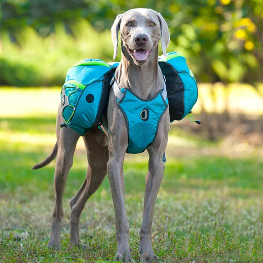 Dog Hiking Rucksack With Waterproof Pockets - Portable Dog Carrier For Outdoor Activities