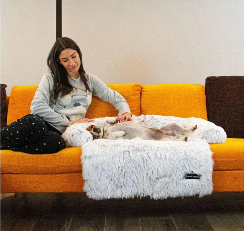 Luxurious Dog Sofa