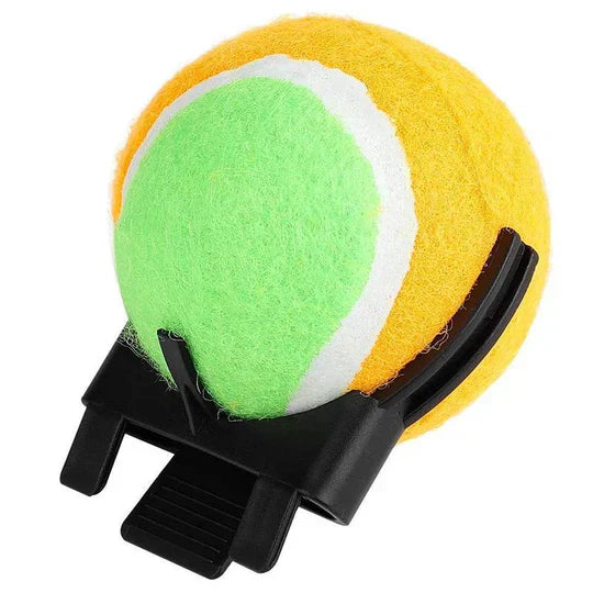 Interactive Ball Toy For Pets