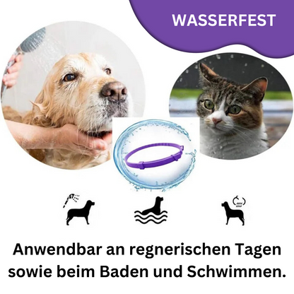 Pheromone Calming Collar