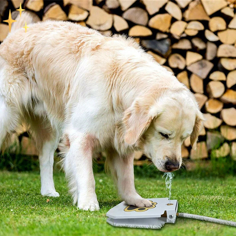 Interactive Dog Toy with Water Fountain