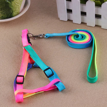 Coloured Dog Harness With Lead - Adjustable Set For Dogs In Rainbow Colours