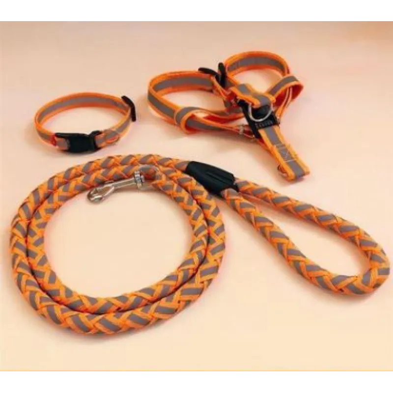 Reflective Dog Harness With Lead - Safe Set For Walks In The Dark