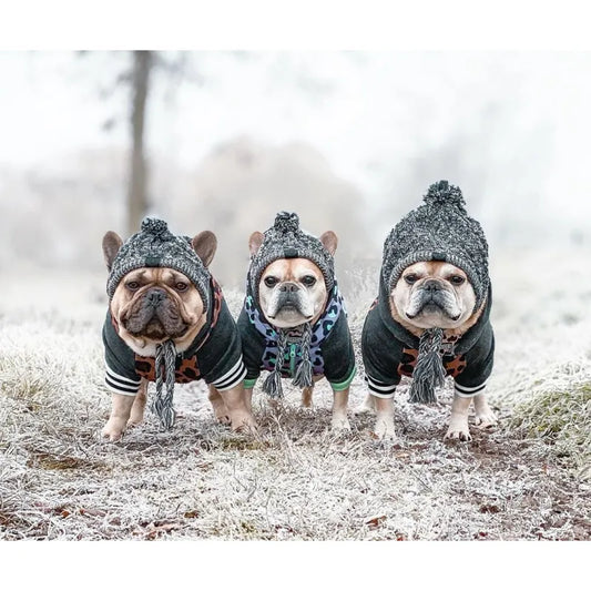 Stylish Dog Hat With Bobble - Warm Winter Hat For Small Dogs
