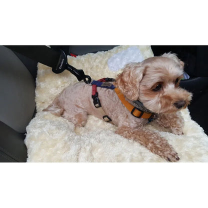 Truelove Seat Belt Clip For Dogs In The Car