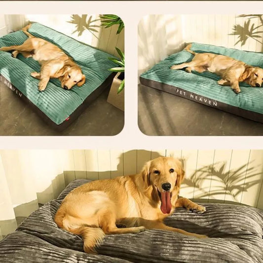 Ergonomic Dog Cushion with Removable Cover