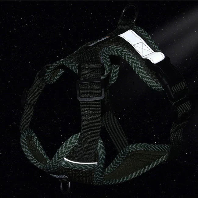 Reflective Dog Harness with Leash for Small Dogs