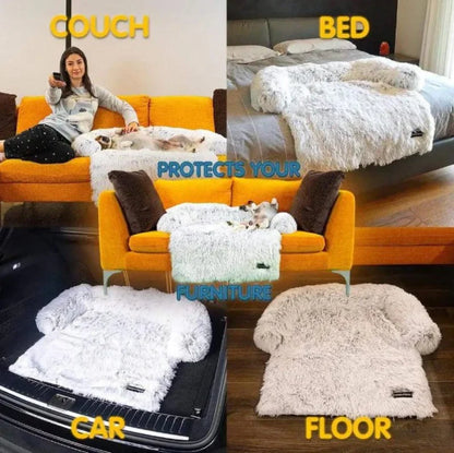 Luxurious Dog Sofa