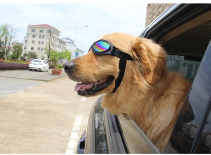 Dog Goggles Uv Protective Goggles In 7 Colours For Dogs