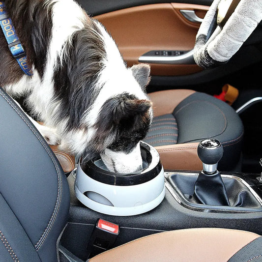 Food Bowl For Pets - Non-slip Base And Durable Materials