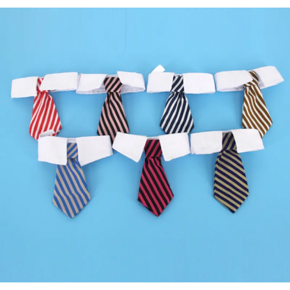 Elegant Pet Collar With Tie For Dogs And Cats