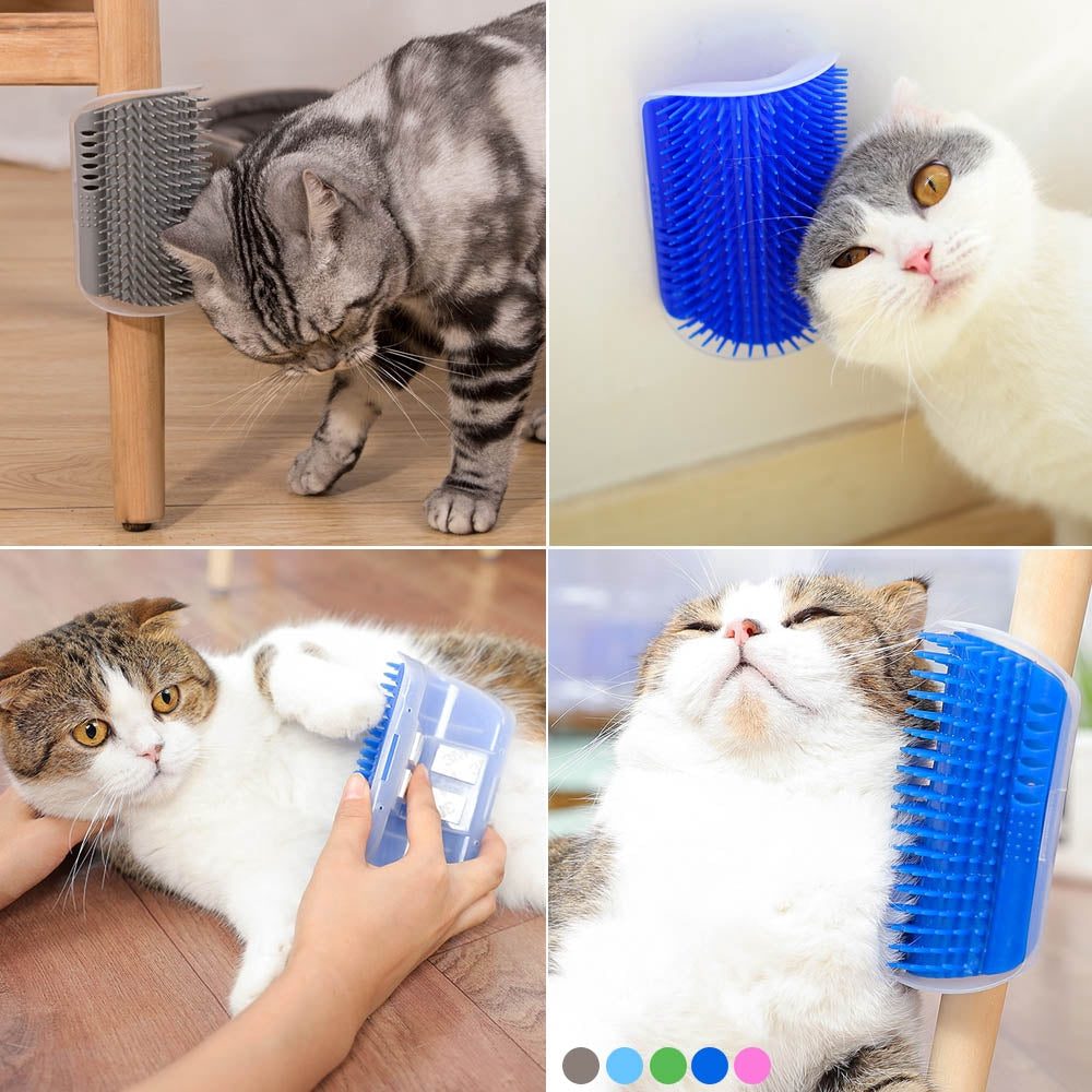 Cat Wall Brush with Catnip