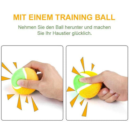 Interactive Ball Toy For Pets