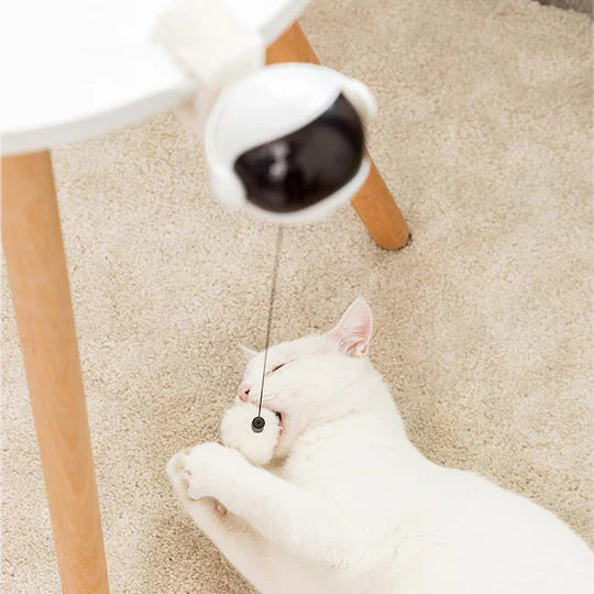 Automatic Cat Toy