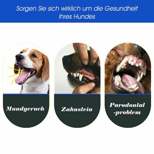 3 - Head Dog Toothbrush - Effective Cleaning For Healthy Teeth