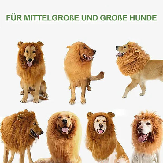 Lion 's Mane Dog Costume