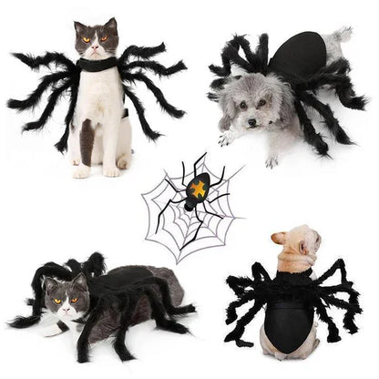 Creepy Spider Costume For Pets