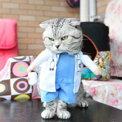 Creative Disguises For Pets