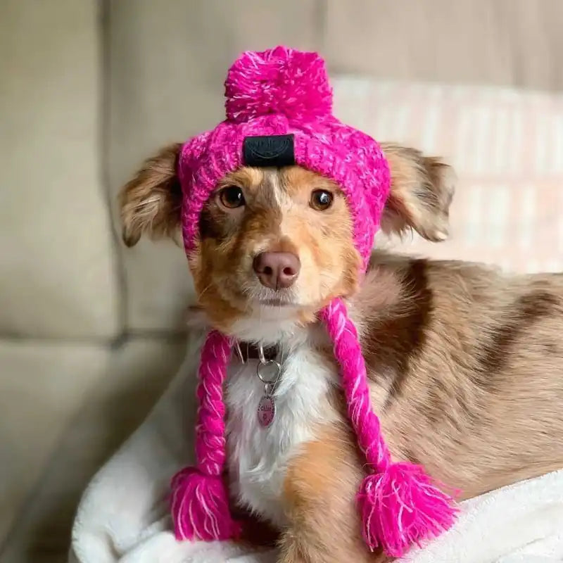 Knitting Hat For Pets With Pompom And Pigtails In Pink